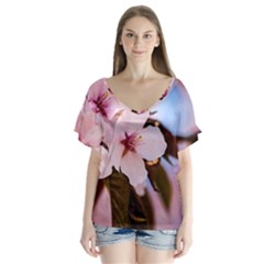 Three Sakura Flowers V-neck Flutter Sleeve Top by FunnyCow