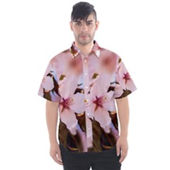 Three Sakura Flowers Men s Short Sleeve Shirt