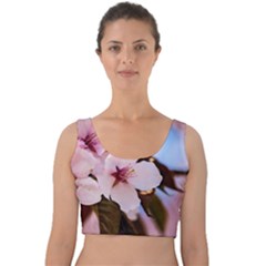 Three Sakura Flowers Velvet Crop Top by FunnyCow