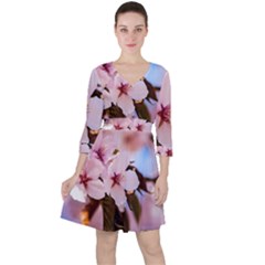 Three Sakura Flowers Ruffle Dress by FunnyCow