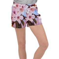 Three Sakura Flowers Women s Velour Lounge Shorts by FunnyCow