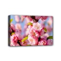 Flowering Almond Flowersg Mini Canvas 6  x 4  View1