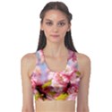 Flowering Almond Flowersg Sports Bra View1