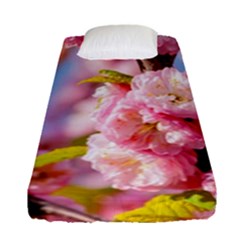 Flowering Almond Flowersg Fitted Sheet (single Size) by FunnyCow