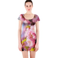 Flowering Almond Flowersg Short Sleeve Bodycon Dress by FunnyCow