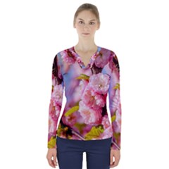 Flowering Almond Flowersg V-neck Long Sleeve Top by FunnyCow