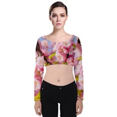 Flowering Almond Flowersg Velvet Crop Top by FunnyCow