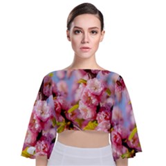 Flowering Almond Flowersg Tie Back Butterfly Sleeve Chiffon Top by FunnyCow