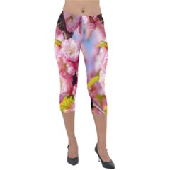 Flowering Almond Flowersg Lightweight Velour Capri Leggings  by FunnyCow