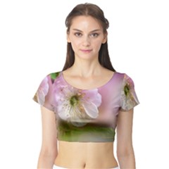 Single Almond Flower Short Sleeve Crop Top by FunnyCow