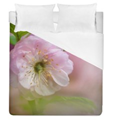 Single Almond Flower Duvet Cover (queen Size) by FunnyCow