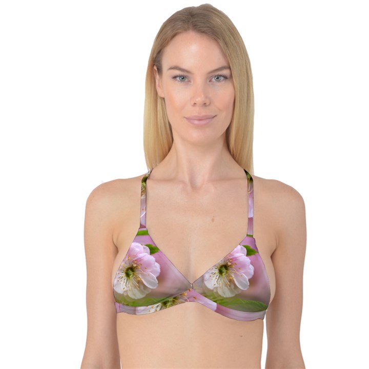 Single Almond Flower Reversible Tri Bikini Top