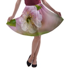 Single Almond Flower A-line Skater Skirt by FunnyCow