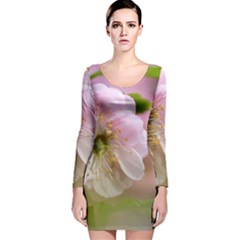 Single Almond Flower Long Sleeve Velvet Bodycon Dress by FunnyCow