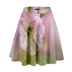 Single Almond Flower High Waist Skirt by FunnyCow