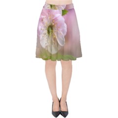 Single Almond Flower Velvet High Waist Skirt by FunnyCow