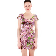 Almond Tree In Bloom Short Sleeve Bodycon Dress by FunnyCow