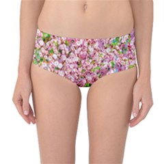 Almond Tree In Bloom Mid-waist Bikini Bottoms by FunnyCow