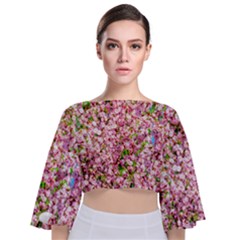 Almond Tree In Bloom Tie Back Butterfly Sleeve Chiffon Top by FunnyCow