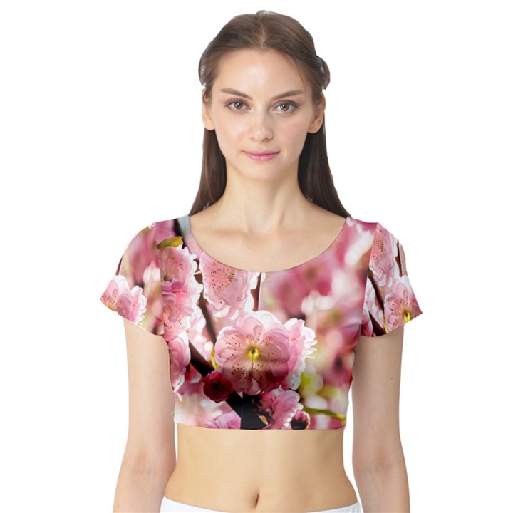 Blooming Almond At Sunset Short Sleeve Crop Top