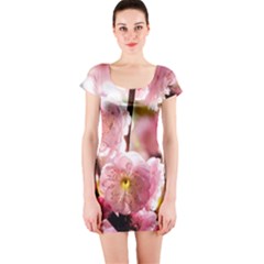 Blooming Almond At Sunset Short Sleeve Bodycon Dress by FunnyCow