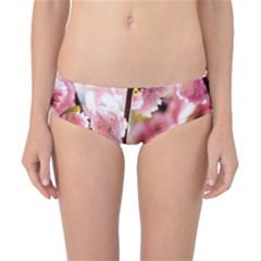 Blooming Almond At Sunset Classic Bikini Bottoms by FunnyCow