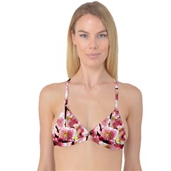 Blooming Almond At Sunset Reversible Tri Bikini Top by FunnyCow