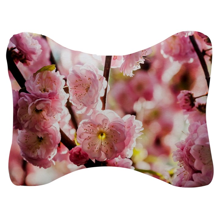 Blooming Almond At Sunset Velour Seat Head Rest Cushion