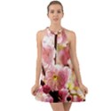 Blooming Almond At Sunset Halter Tie Back Chiffon Dress View1