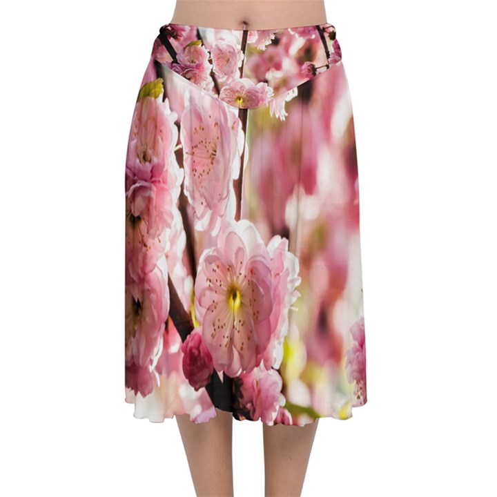 Blooming Almond At Sunset Velvet Flared Midi Skirt