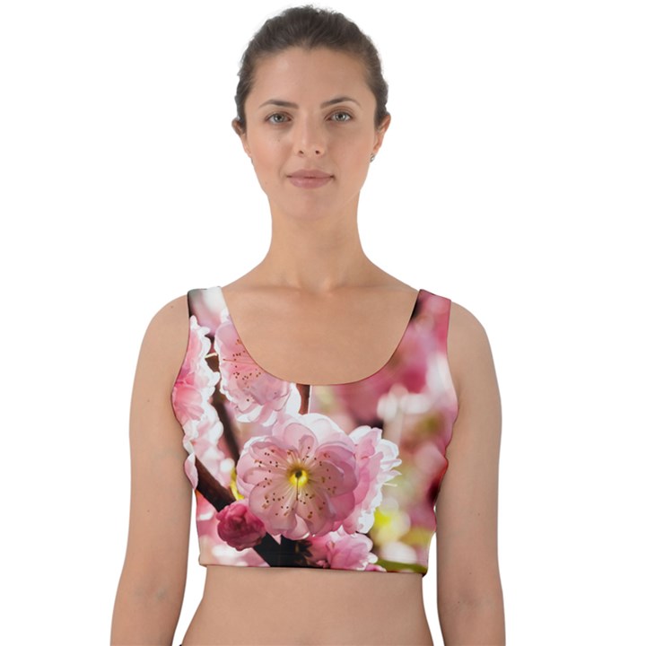 Blooming Almond At Sunset Velvet Crop Top