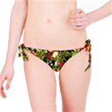 Fruit Blossom Black Bikini Bottom View1