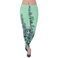 Winter Trees Velvet Leggings by snowwhitegirl