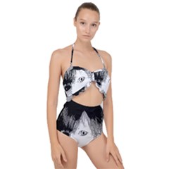 Boy Scallop Top Cut Out Swimsuit