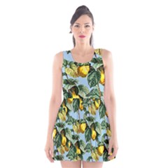 Fruit Branches Blue Scoop Neck Skater Dress by snowwhitegirl