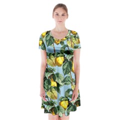 Fruit Branches Blue Short Sleeve V-neck Flare Dress by snowwhitegirl