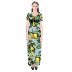 Fruit Branches Blue Short Sleeve Maxi Dress by snowwhitegirl