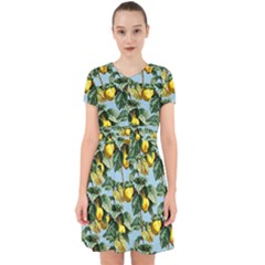 Fruit Branches Blue Adorable In Chiffon Dress by snowwhitegirl