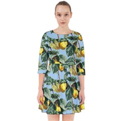 Fruit Branches Blue Smock Dress by snowwhitegirl