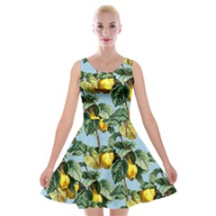 Fruit Branches Blue Velvet Skater Dress by snowwhitegirl