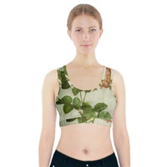 Peony 2507643 1920 Sports Bra With Pocket by vintage2030