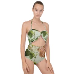 Peony 2507643 1920 Scallop Top Cut Out Swimsuit