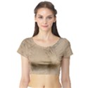 Anna Pavlova 2485075 960 720 Short Sleeve Crop Top View1