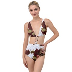 Shabby 1814373 960 720 Tied Up Two Piece Swimsuit by vintage2030