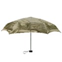 Lady 2523423 1920 Mini Folding Umbrellas View3