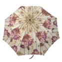 On Wood 1897174 1920 Folding Umbrellas View1