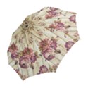 On Wood 1897174 1920 Folding Umbrellas View2