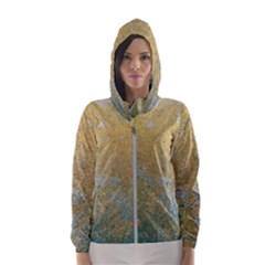 Abstract 1850416 960 720 Hooded Windbreaker (women)