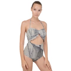 Ship 1515860 1280 Scallop Top Cut Out Swimsuit