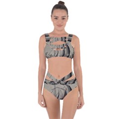 Ship 1515875 1280 Bandaged Up Bikini Set  by vintage2030